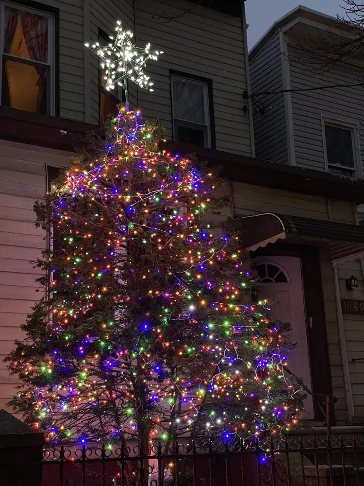 Local landscape design in Queens, NY by Oscar Abarca Landscaping Service