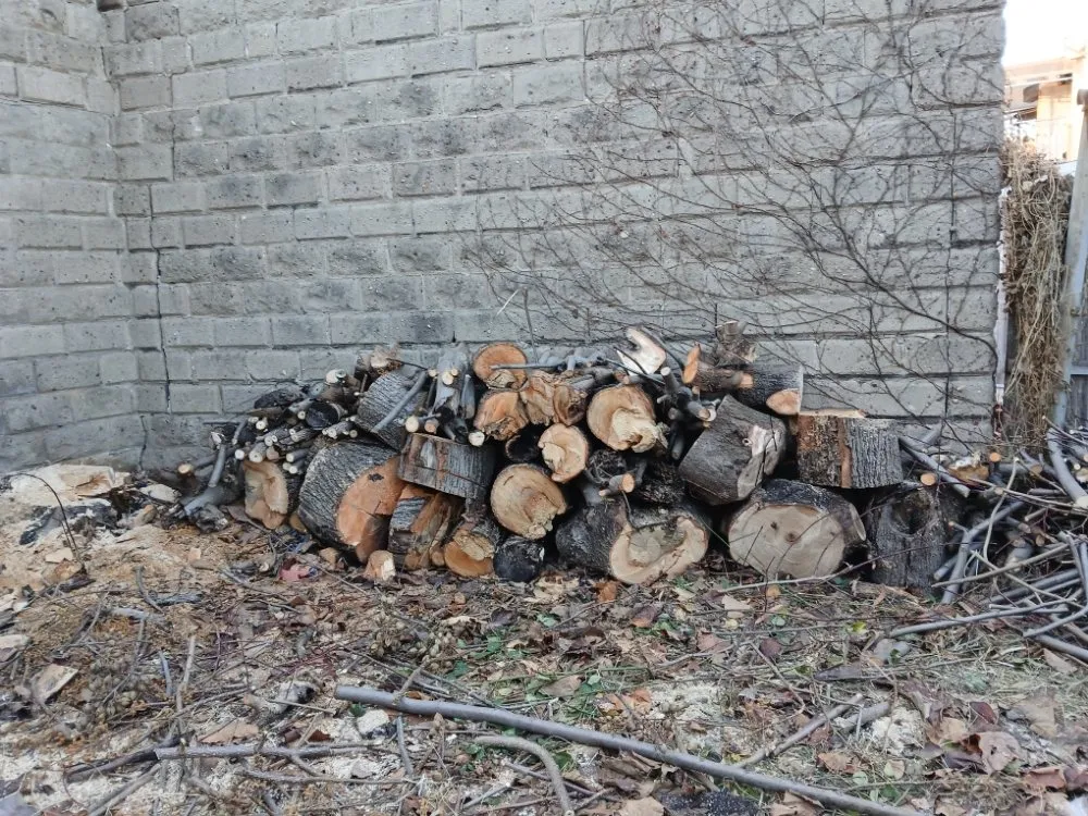 Expert landscaping services in Queens, NY by Oscar Abarca Landscaping Service