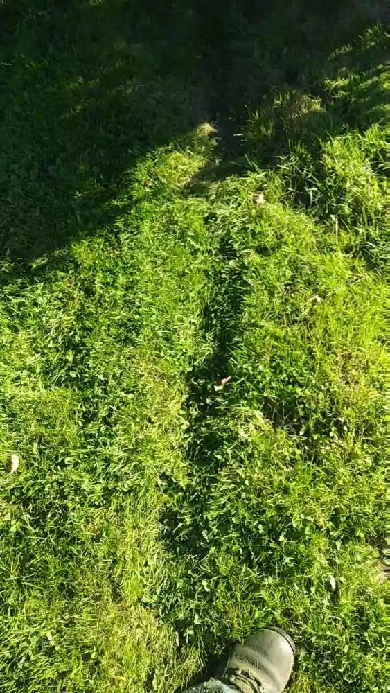 Trusted garden landscaping near you in Queens, NY by Oscar Abarca Landscaping Service