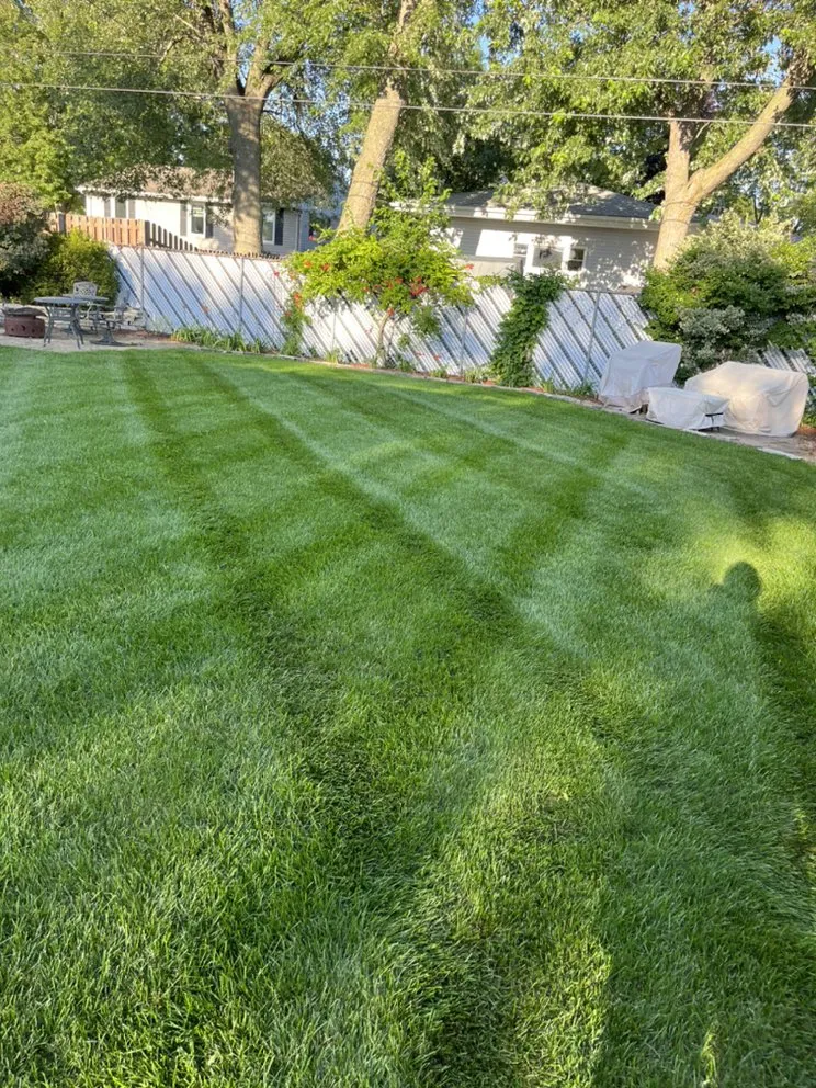 Top-rated yard cleanup service experts serving Munster, IN - Oscar And Sons Lawn Care Service
