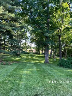 Oscar And Sons Lawn Care Service