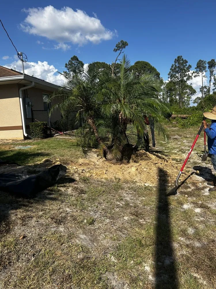 Custom outdoor landscaping experts serving Lehigh Acres, FL - Oscar Argueta Lawn Services