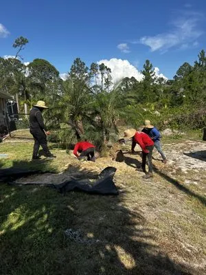 Oscar Argueta Lawn Services