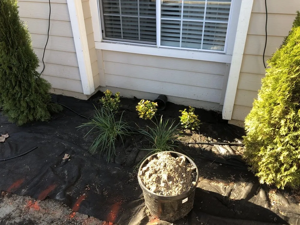 Expert landscape design in Roseville, CA by Oscar Espinoza's Landscaping Services