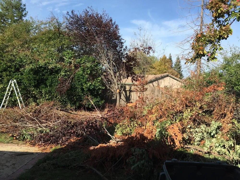 Professional yard maintenance for homes in Roseville, CA by Oscar Espinoza's Landscaping Services