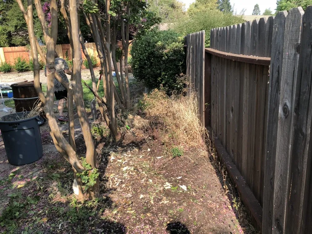 Custom yard cleanup service in Roseville, CA by Oscar Espinoza's Landscaping Services