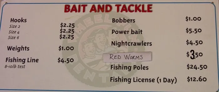 Affordable yard cleanup service experts serving Roseville, CA - Oscar Espinoza's Landscaping Services