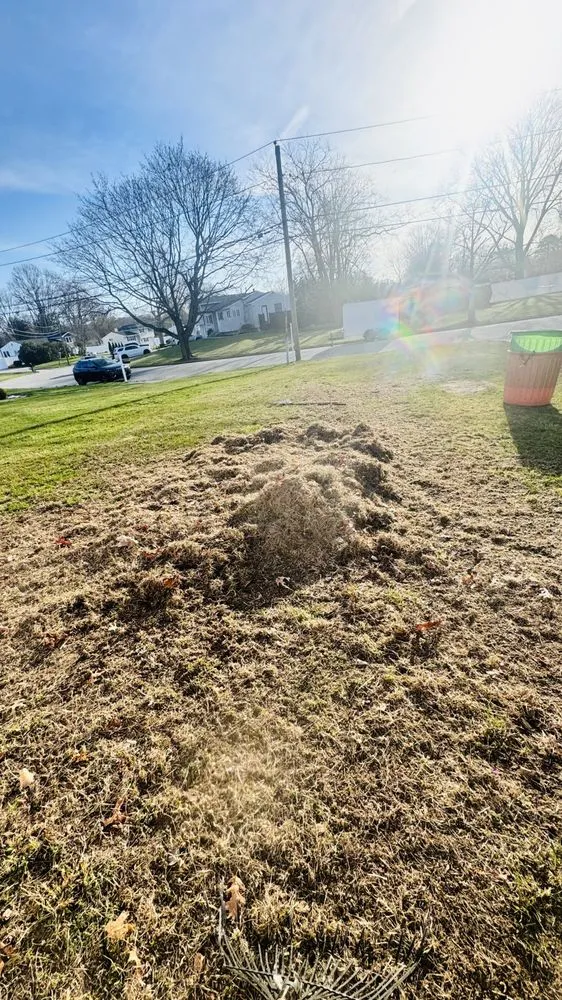 Professional yard maintenance for year-round maintenance across Coram, NY - Oscar G Landscaping