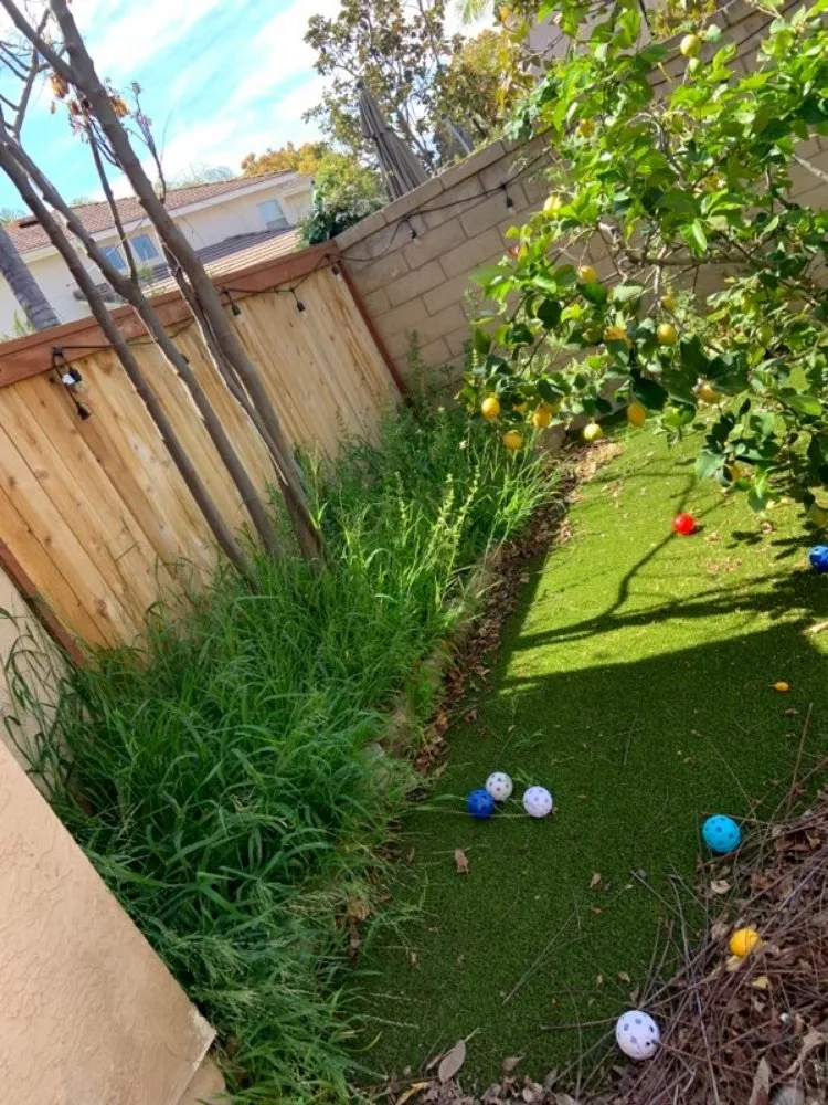 Affordable residential landscaping with custom design in Lemon Grove, CA by Oscar Garden