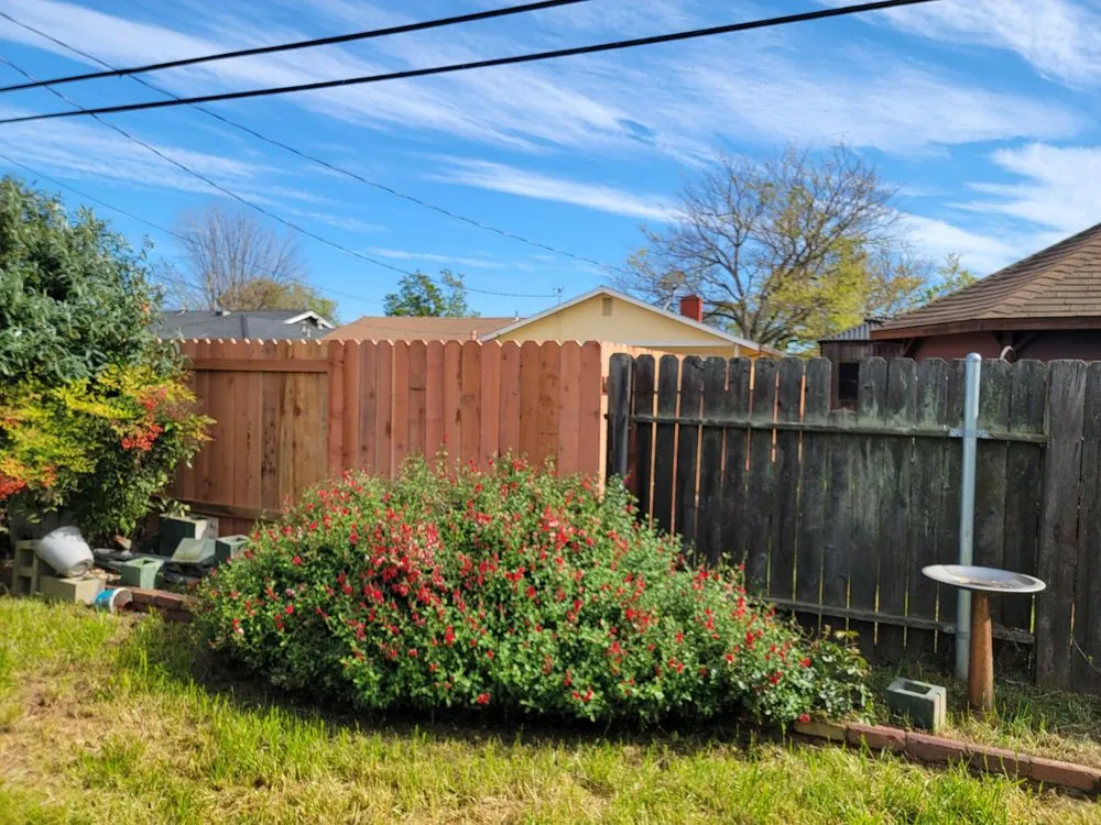 Top-rated landscaping services in Elk Grove, CA by Oscar Landscaping & Bobcat Service