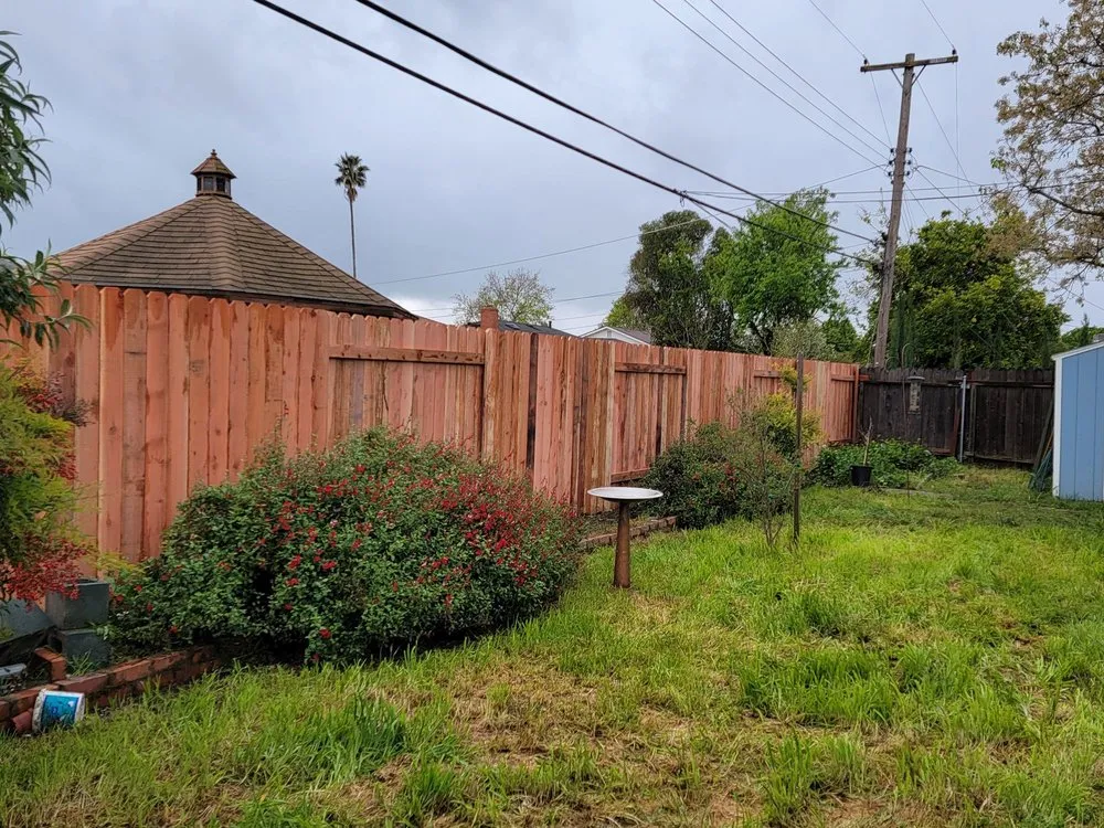 Reliable yard maintenance in Elk Grove, CA by Oscar Landscaping & Bobcat Service