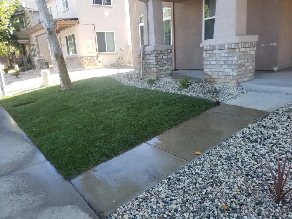 Top-rated yard cleanup service in Elk Grove, CA - Oscar Landscaping & Bobcat Service