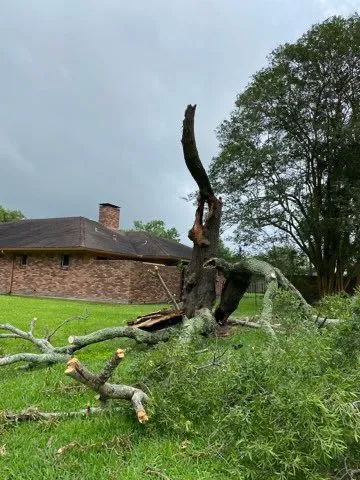 Expert lawn mowing service experts serving Baytown, TX - Oscar Landscaping