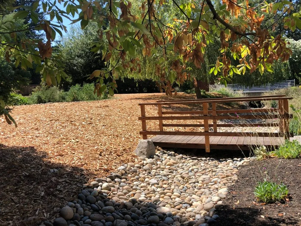 Top-rated lawn care service in Concord, CA by Oscar Landscaping