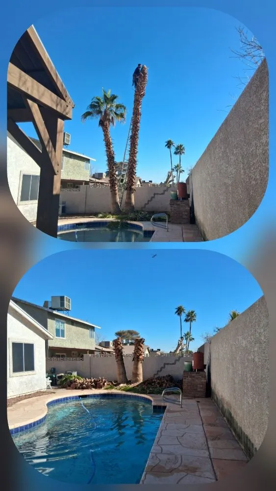 Custom yard cleanup service in Las Vegas, NV by Oscar Landscaping