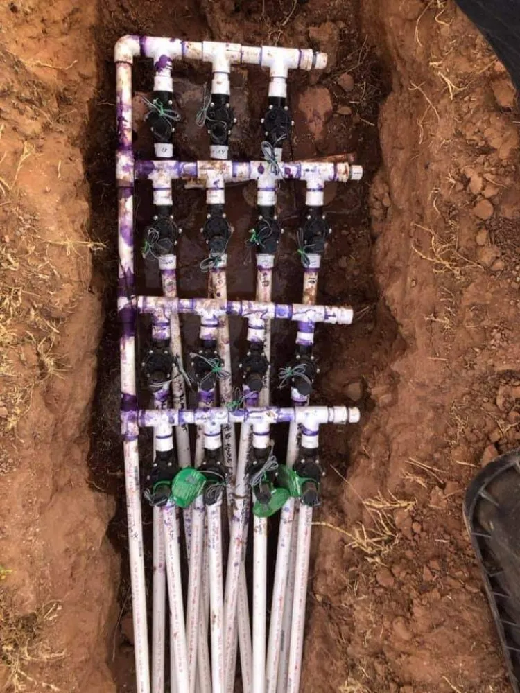 Expert landscape installation experts serving Sierra Vista, AZ - Oscar Landscaping