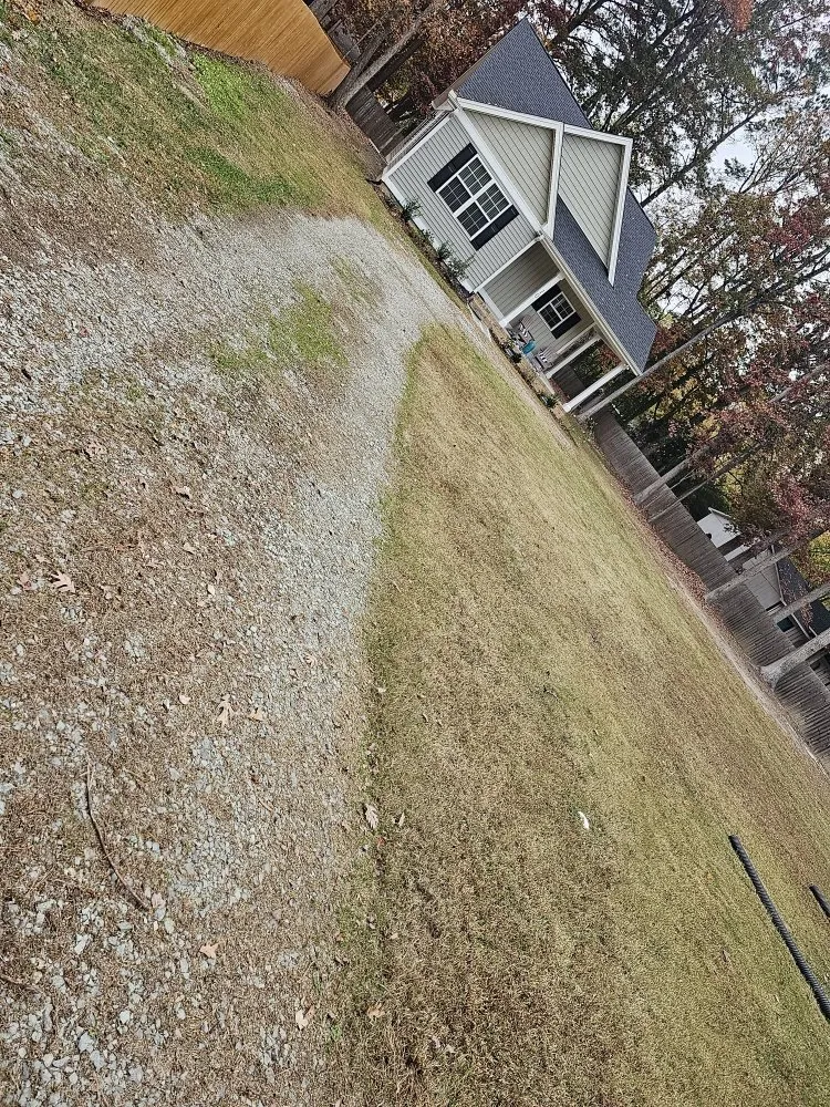 Professional yard cleanup service experts serving Durham, NC - Oscar Lawn Care