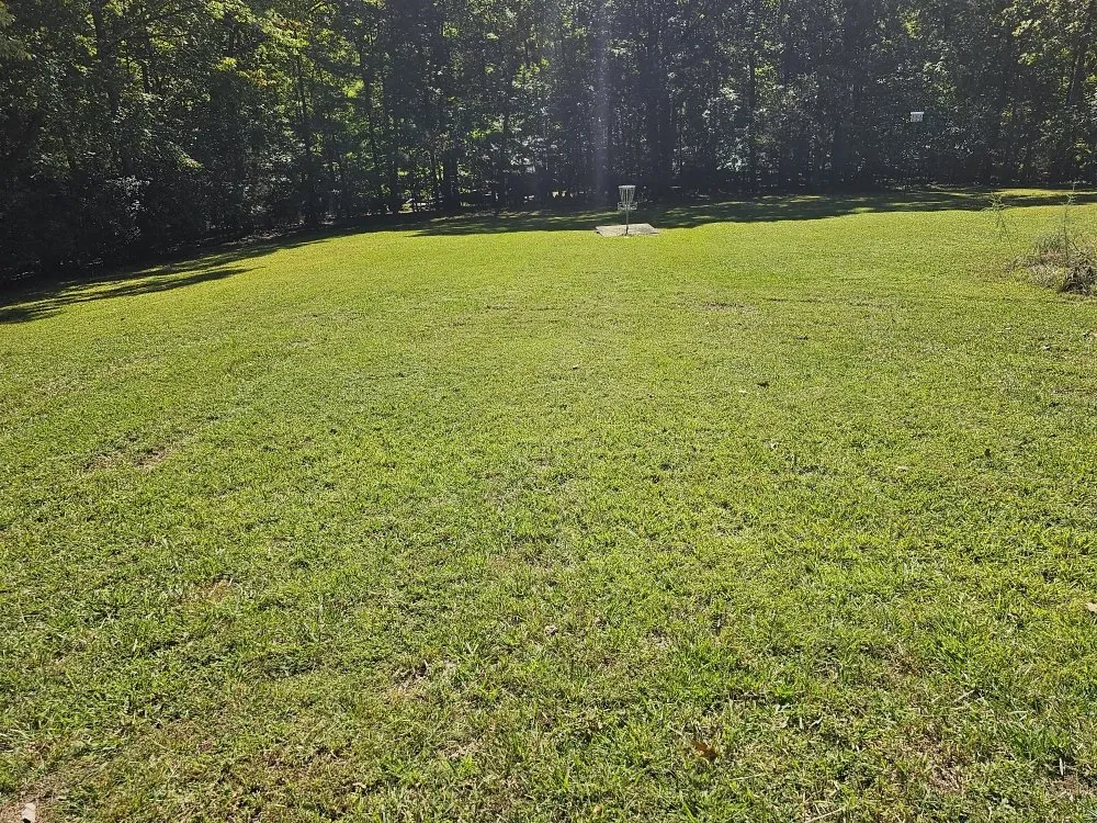 Reliable yard cleanup service for residential properties across Durham, NC - Oscar Lawn Care