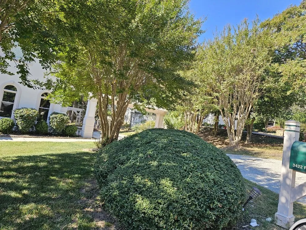 Expert yard maintenance in Durham, NC - Oscar Lawn Care