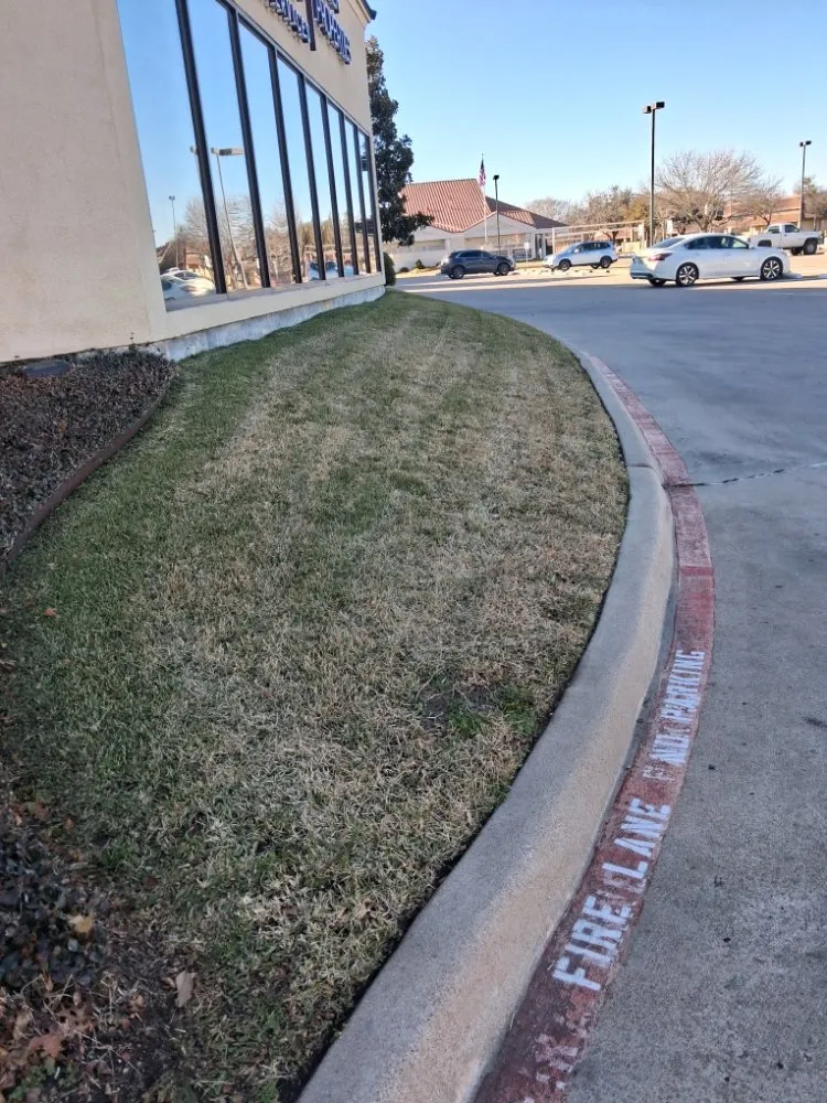 Expert lawn care service with custom design across Westworth Village, TX - Oscar Lawn Service