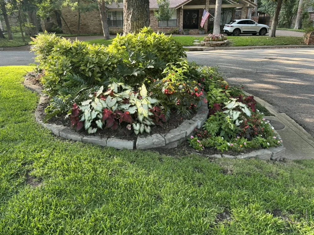 Professional landscaping services in Westworth Village, TX - Oscar Lawn Service