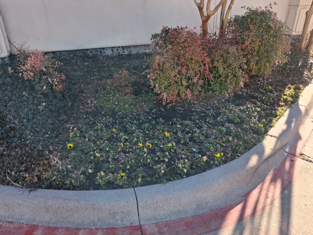 Custom residential landscaping in Westworth Village, TX - Oscar Lawn Service