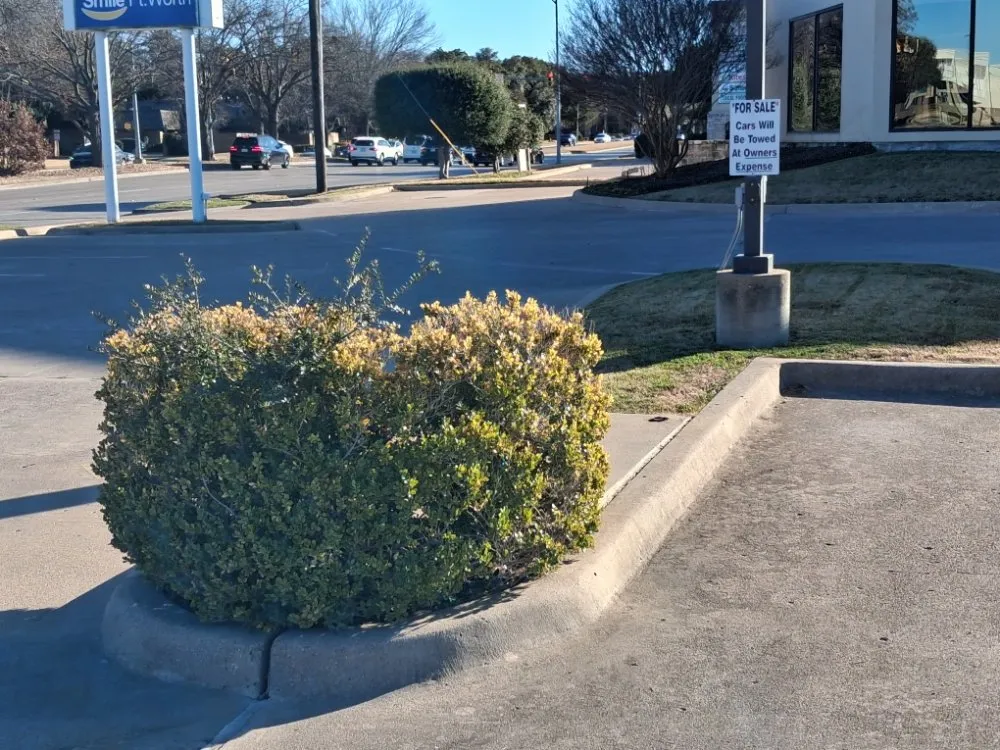 Trusted residential landscaping in Westworth Village, TX by Oscar Lawn Service