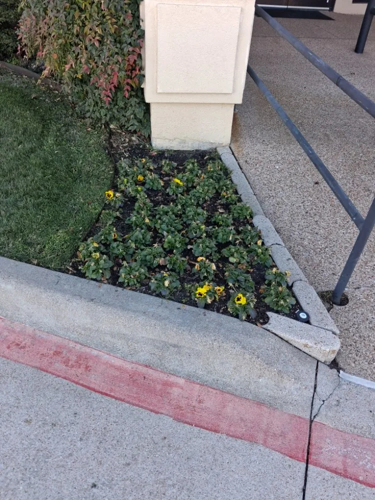 Custom landscaping services experts serving Westworth Village, TX - Oscar Lawn Service