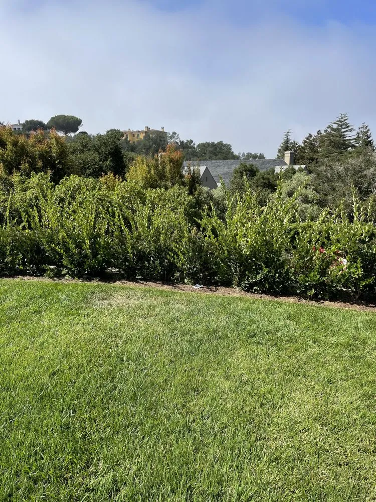 Top-rated yard maintenance with custom design across Goleta, CA - Oscar Lopez