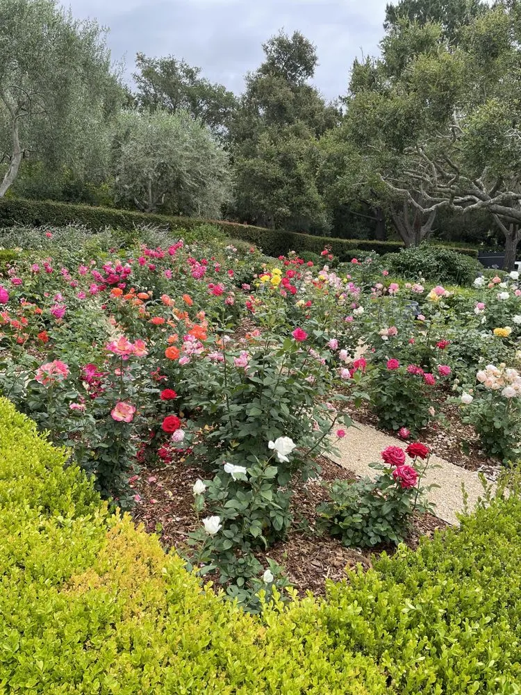 Custom landscaping services for homes across Goleta, CA - Oscar Lopez