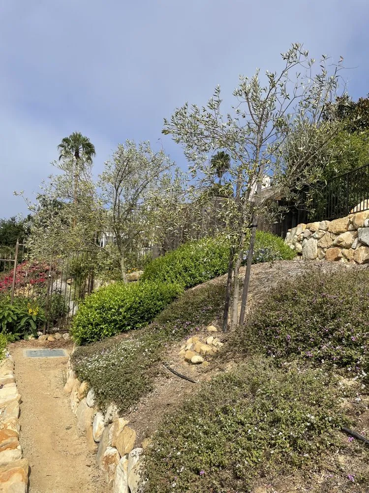 Affordable yard cleanup service for homes in Goleta, CA by Oscar Lopez