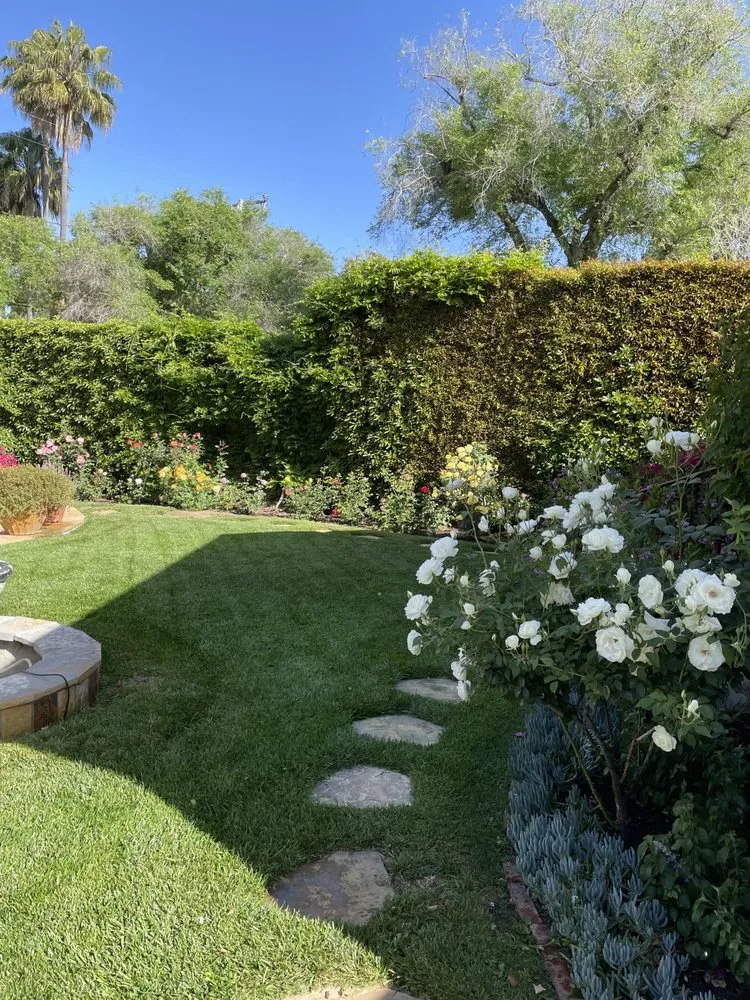 Custom yard cleanup service for homes in Goleta, CA by Oscar Lopez