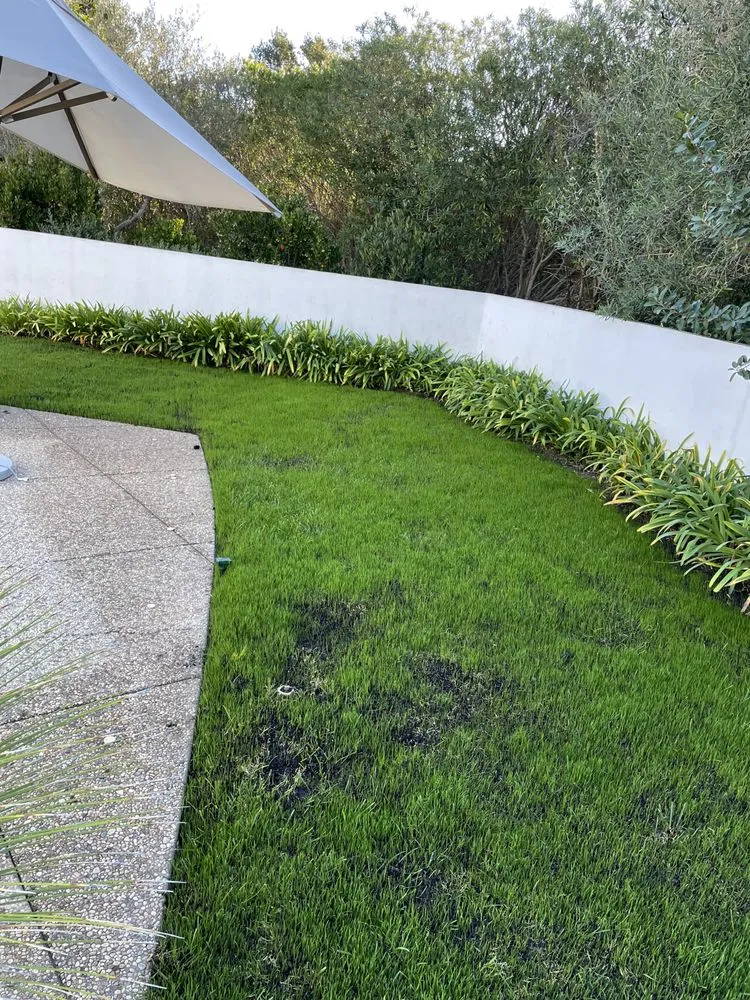 Top-rated garden landscaping for homes across Goleta, CA - Oscar Lopez