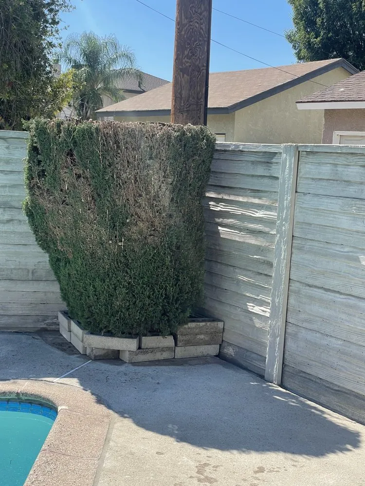 Expert lawn care service in Los Angeles, CA by Oscar Martinez Gardening & Landscaping Services