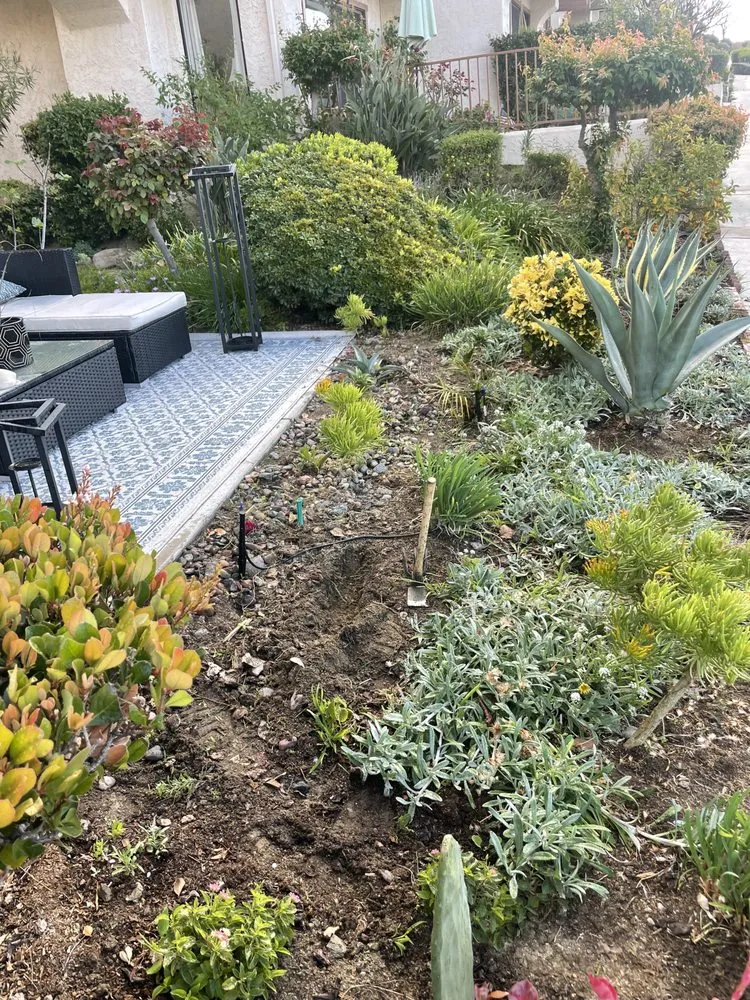 Expert yard maintenance in Los Angeles, CA - Oscar Martinez Gardening & Landscaping Services