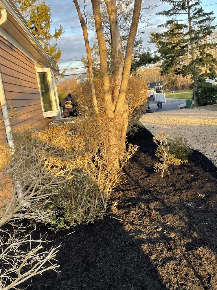 Local landscape design for homes in Brentwood, NY by Oscar Morales Landscaping