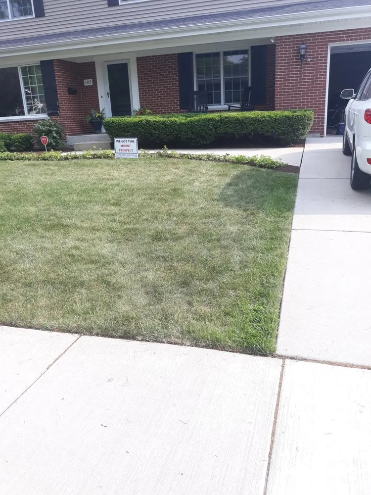 Reliable yard cleanup service near you in Des Plaines, IL by Oscar Morales Landscaping