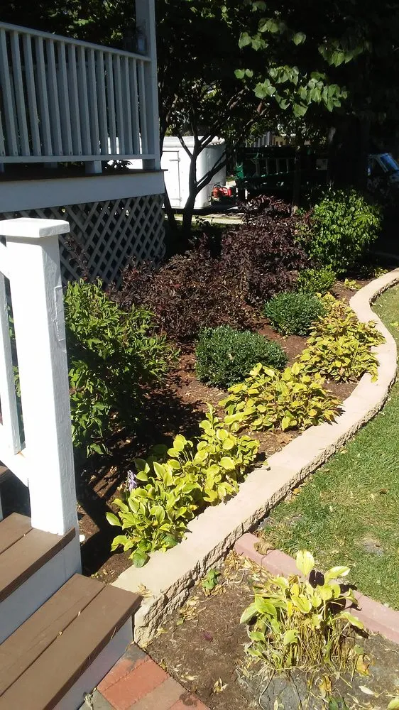 Professional yard maintenance in Des Plaines, IL by Oscar Morales Landscaping