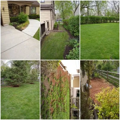 Oscar Morales Landscaping Logo