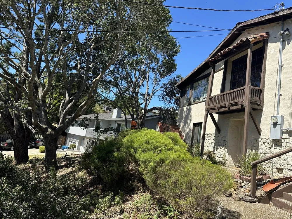 Reliable landscape installation near you across Hayward, CA - Oscar Moreno Tree Service