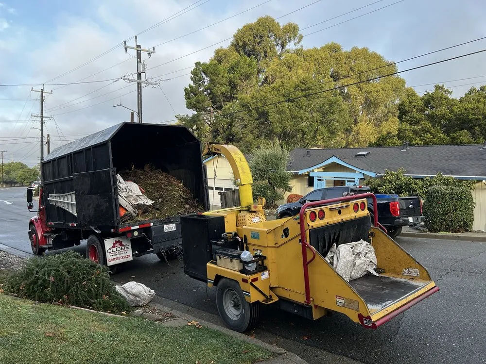 Trusted landscape design in Hayward, CA - Oscar Moreno Tree Service