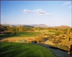 Professional yard cleanup service in Hayward, CA by Oscar Moreno Tree Service