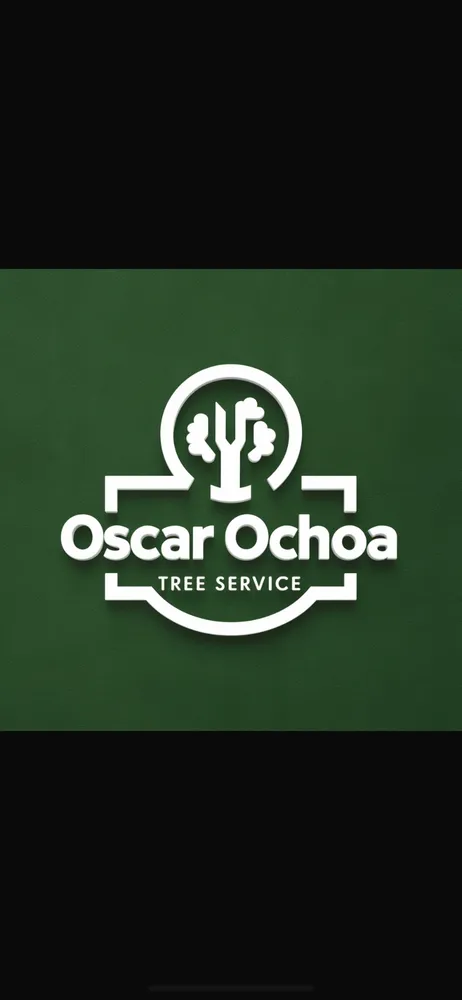 Local yard cleanup service for residential properties in Austin, TX by Oscar Ochoa Tree Service