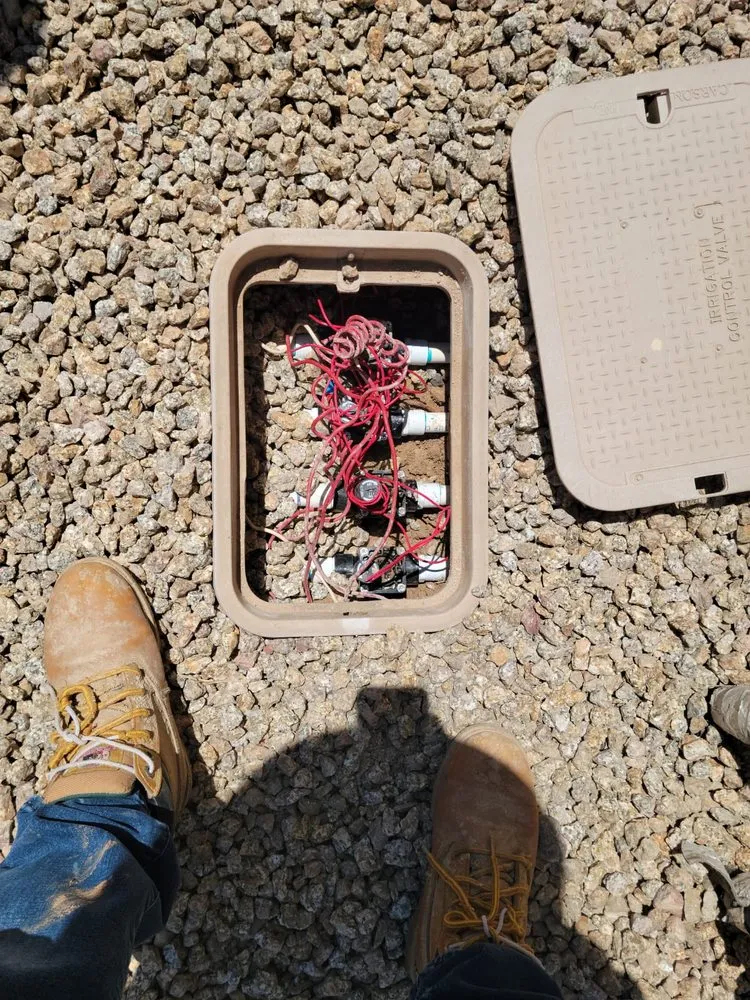 Trusted landscaping services for residential properties across El Mirage, AZ - Oscar Rico Landscaping Services