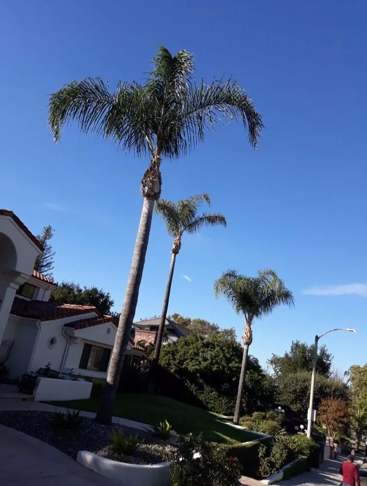 Reliable yard maintenance for homes in Santa Clarita CA, CA by Oscar Tree Service
