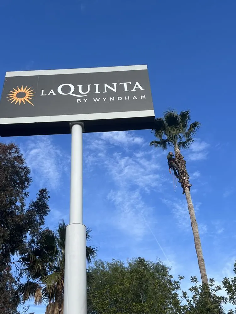 Affordable yard cleanup service with custom design across Santa Clarita CA, CA - Oscar Tree Service