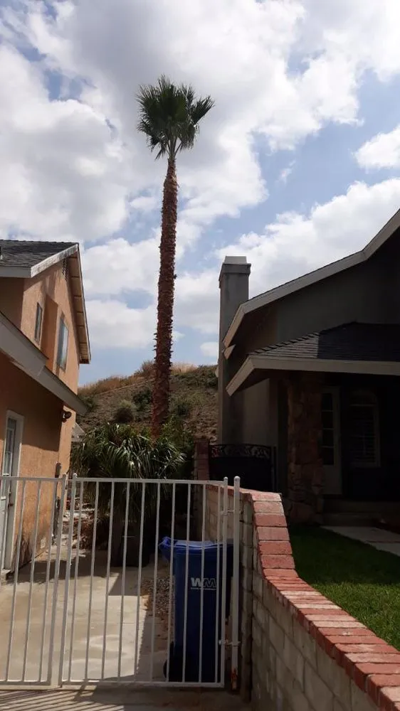 Affordable landscaping services for homes in Santa Clarita CA, CA by Oscar Tree Service