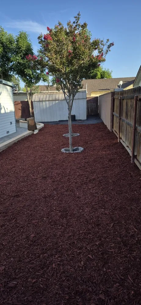 Reliable yard maintenance in Homeland, CA - Oscar Vanegas Landscaping