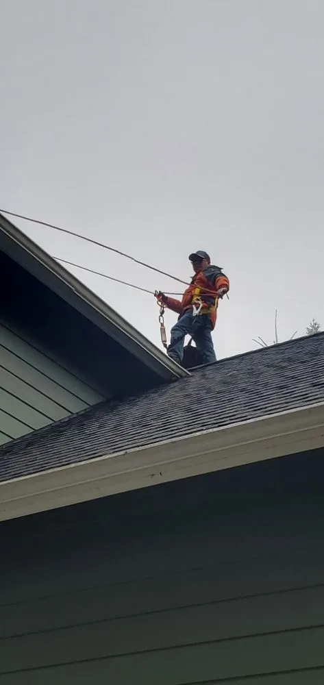 Local landscape design for year-round maintenance in Shelton, WA by Oscar's Gardening