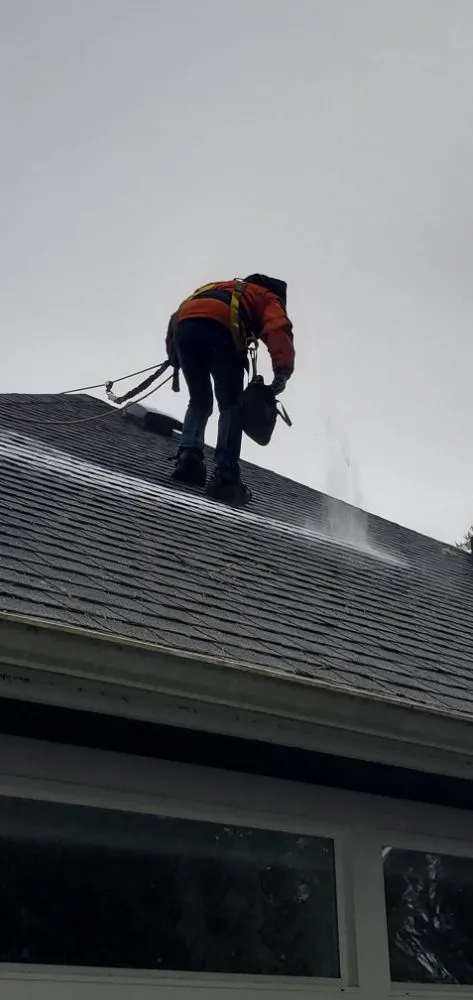 Custom yard cleanup service for outdoor upgrades across Shelton, WA - Oscar's Gardening